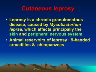 Cutaneous leprosy ,[object Object],[object Object]