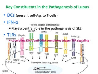 Cutaneous lupus erythematosus | PPTX