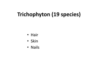 Trichophyton (19 species)
• Hair
• Skin
• Nails
 