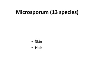 • Skin
• Hair
Microsporum (13 species)
 
