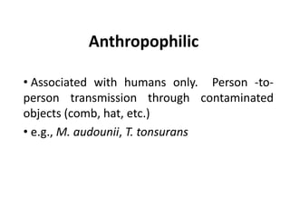 Anthropophilic
• Associated with humans only. Person -to-
person transmission through contaminated
objects (comb, hat, etc.)
• e.g., M. audounii, T. tonsurans
 