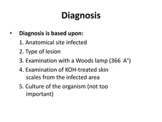Diagnosis
• Diagnosis is based upon:
1. Anatomical site infected
2. Type of lesion
3. Examination with a Woods lamp (366 A°)
4. Examination of KOH-treated skin
scales from the infected area
5. Culture of the organism (not too
important)
 