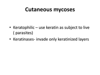 Cutaneous mycoses
• Keratophilic – use keratin as subject to live
( parasites)
• Keratinases- invade only keratinized layers
 