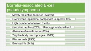 Borrelia-associated B-cell
pseudolymphoma
Mostly the entire dermis is involved
Grenz zone, epidermal component in approx 10%
High number of admixed T cells
Germinal centers (77%), often large and confluent
Absence of mantle zone (88%)
Tingible body macrophages (100%)
Plasma cells (99%)
Eosinophils (84%)
 