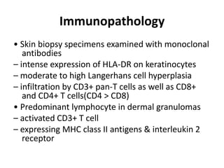 Immunopathology
• Skin biopsy specimens examined with monoclonal
antibodies
– intense expression of HLA-DR on keratinocytes
– moderate to high Langerhans cell hyperplasia
– infiltration by CD3+ pan-T cells as well as CD8+
and CD4+ T cells(CD4 > CD8)
• Predominant lymphocyte in dermal granulomas
– activated CD3+ T cell
– expressing MHC class II antigens & interleukin 2
receptor
 