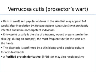 Verrucosa cutis (prosector’s wart)
• Rash of small, red papular nodules in the skin that may appear 2–4
weeks after inoculation by Mycobacterium tuberculosis in a previously
infected and immunocompetent individual.
• Entry point usually is the site of a trauma, wound or puncture in the
skin (eg- during an autopsy), the most frequent site for the wart are
the hands
• The diagnosis is confirmed by a skin biopsy and a positive culture
for acid-fast bacilli
• A Purified protein derivative (PPD) test may also result positive
 
