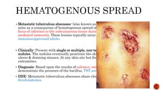 Metastatic tuberculous abscesses- (also known as tuberculous gummas) usually
arise as a consequence of hematogenous spread of the bacillus from a primary
focus of infection to the subcutaneous tissue during a state of reduced cell-
mediated immunity. These lesions typically occur in malnourished children &
immunosuppressed adults.
 Clinically- Present with single or multiple, non-tender, fluctuant, subcutaneous
nodules. The nodules eventually penetrate the skin, resulting in the formation of
ulcers & draining sinuses. At any skin site but frequently develop on the
extremities.
 Diagnosis- Based upon the results of cultures, smears, or skin biopsies that
demonstrate the presence of the bacillus. TST are variable.
 DDX- Metastatic tuberculous abscesses share clinical & histologic features with
Scrofuloderma.
 