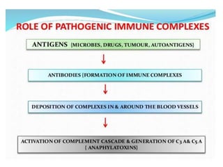 Cutaneous vasculitis
