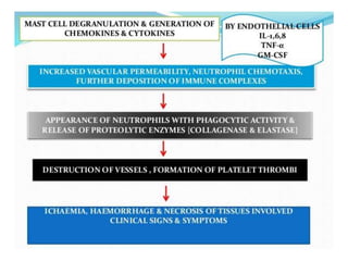 Cutaneous vasculitis