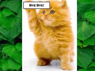 Bye Bye! 