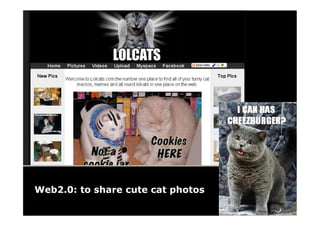 Web2.0: to share cute cat photos
 