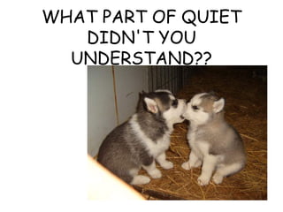 WHAT PART OF QUIET DIDN'T YOU UNDERSTAND?? 