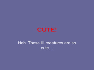 CUTE! Heh. These lil’ creatures are so cute… 
