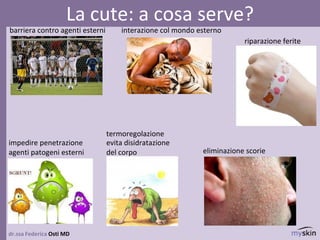 dr.ssa Federica Osti MD
La cute: a cosa serve?
barriera contro agenti esterni
evita disidratazione
del corpo
impedire penetrazione
agenti patogeni esterni
interazione col mondo esterno
termoregolazione
eliminazione scorie
riparazione ferite
 
