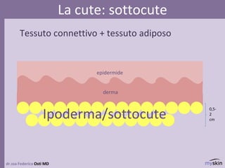 dr.ssa Federica Osti MD
La cute: sottocute
epidermide
derma
Ipoderma/sottocute
Tessuto connettivo + tessuto adiposo
0,5-
2
cm
 