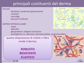dr.ssa Federica Osti MD
principali costituenti del derma
CELLULE:
fibroblasti ( producono glicoproteine)
mastociti
macrofagi
(leucociti e linfociti)
MATRICE EXTRACELLULARE:
acqua
elettroliti
glicoproteine: collagene ed elastina
proteoglicani: ac. ialuronico, dermatansolfato, condroitinsolfato
questa disposizione di cellule e fibre
rende il derma:
ROBUSTO
RESISTENTE
ELASTICO
 