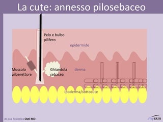 dr.ssa Federica Osti MD
La cute: annesso pilosebaceo
epidermide
derma
Ipoderma/sottocute
Ghiandola
sebacea
Pelo e bulbo
pilifero
Muscolo
piloerettore
 