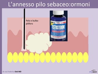 dr.ssa Federica Osti MD
L’annesso pilo sebaceo:ormoni
dermaGhiandola
sebacea
Pelo e bulbo
pilifero
 