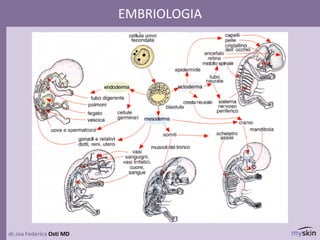 dr.ssa Federica Osti MD
EMBRIOLOGIA
 