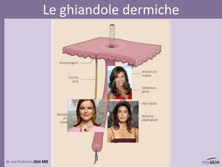 dr.ssa Federica Osti MD
Le ghiandole dermiche
 