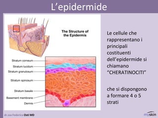 dr.ssa Federica Osti MD
L’epidermide
Le cellule che
rappresentano i
principali
costituenti
dell’epidermide si
chiamano
“CHERATINOCITI”
che si dispongono
a formare 4 o 5
strati
 