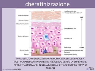 dr.ssa Federica Osti MD
cheratinizzazione
PROCESSO DIFFERENZIATIVO CHE PORTA LA CELLULA BASALE A
MOLTIPLICARSI CONTINUAMENTE, RISALENDO VERSO LA SUPERFICIE,
FINO A TRASFORMARSI IN CELLULA DELLO STRATO CORNEO PRIVA DI
NUCLEO
 