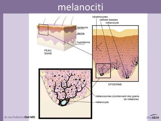 dr.ssa Federica Osti MD
melanociti
 