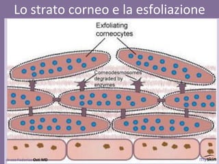 dr.ssa Federica Osti MD
Lo strato corneo e la esfoliazione
 