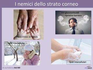 I nemici dello strato corneo
dr.ssa Federica Osti MD
- - - lipidi intercellulari
+++ glucocorticoidi
- - - ripristino barriera
- - lipidi intercellulari
meno mitosi str basale
 