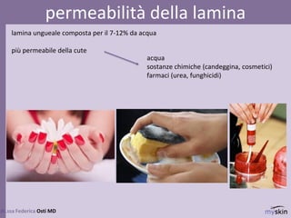 73
lamina ungueale composta per il 7-12% da acqua
più permeabile della cute
dr.ssa Federica Osti MD
permeabilità della lamina
acqua
sostanze chimiche (candeggina, cosmetici)
farmaci (urea, funghicidi)
 