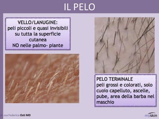 78
dr.ssa Federica Osti MD
IL PELO
 