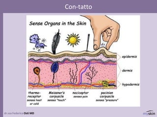 dr.ssa Federica Osti MD
Con-tatto
 