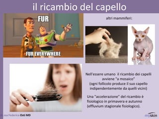 85
dr.ssa Federica Osti MD
il ricambio del capello
Nell'essere umano il ricambio dei capelli
avviene "a mosaico”
(ogni follicolo produce il suo capello
indipendentemente da quelli vicini)
Una "accelerazione" del ricambio è
fisiologico in primavera e autunno
(effluvium stagionale fisiologico).
altri mammiferi:
 