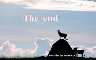 Press the Esc key to exit.
 