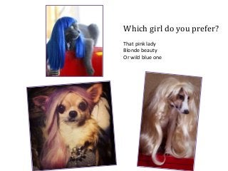 Which girl do you prefer?
That pink lady
Blonde beauty
Or wild blue one
 