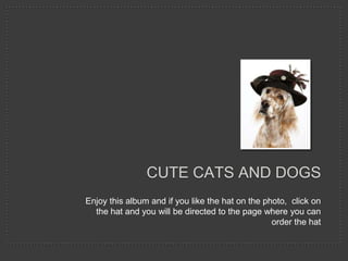 CUTE CATS AND DOGS
Enjoy this album and if you like the hat on the photo, click on
  the hat and you will be directed to the page where you can
                                                  order the hat
 