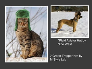 ^Plaid Aviator Hat by
    Nine West


Green Trapper Hat by
M Style Lab
 