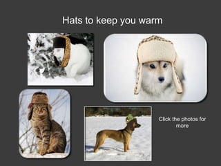 Hats to keep you warm




                    Click the photos for
                            more
 