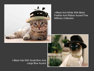 Black And White With Black
                                 Feather And Ribbon Accent Fine
                                 Millinery Collection




Black Hat With Small Brim And
             Large Bow Accent
 