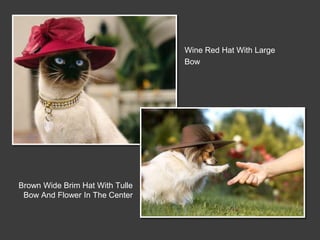 Wine Red Hat With Large
                                 Bow




Brown Wide Brim Hat With Tulle
 Bow And Flower In The Center
 