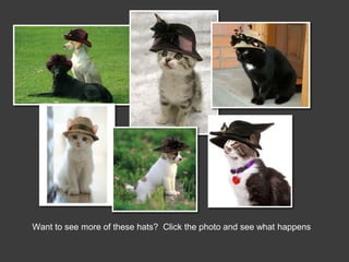 Want to see more of these hats? Click the photo and see what happens
 