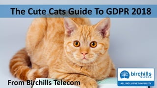 The Cute Cats Guide To GDPR 2018
From Birchills Telecom
 