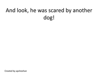 And look, he was scared by another dog!Created by apsheehan