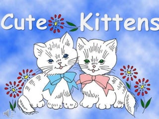 Cute kittens (v.m.)