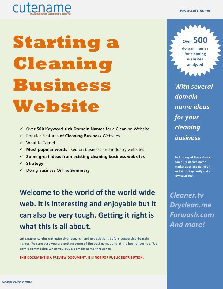 cute name starting a cleaning business website name of cleaning company