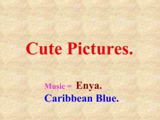 Cute Pictures. Music =  Enya. Caribbean Blue. 