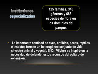 • La importante cantidad de aves, anfibios, peces, reptiles
e insectos forman un heterogéneo conjunto de vida
silvestre animal y vegetal. El Dr. Vilchez se inspiró en la
necesidad de defender estos recursos del peligro de
extensión.
125 familias, 340
géneros y 683
especies de flora en
los dominios del
parque.
 