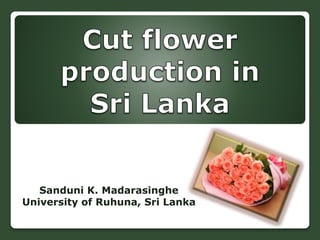 Sanduni K. Madarasinghe
University of Ruhuna, Sri Lanka
 