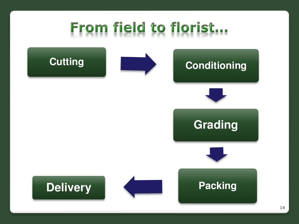 Cut flower production in sl