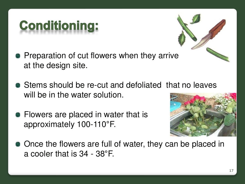 Cut flower production in sl